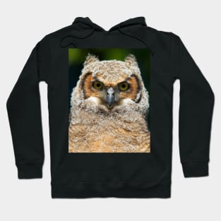 Great Horned owlet Hoodie